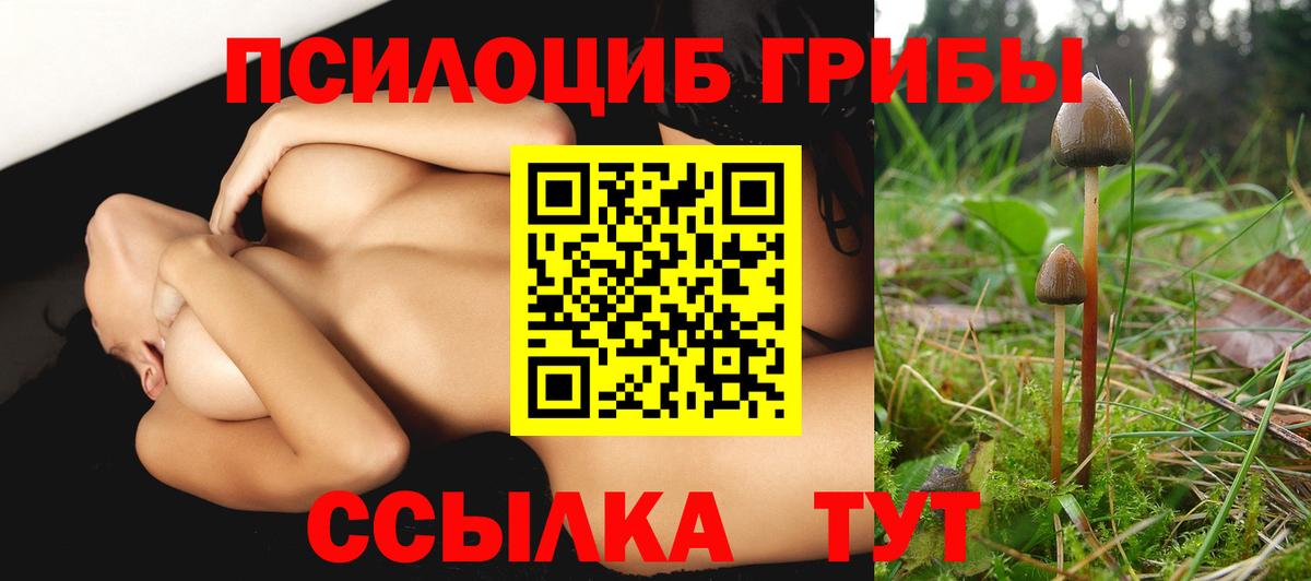 Псилоцибиновые грибы мицелий Майкоп