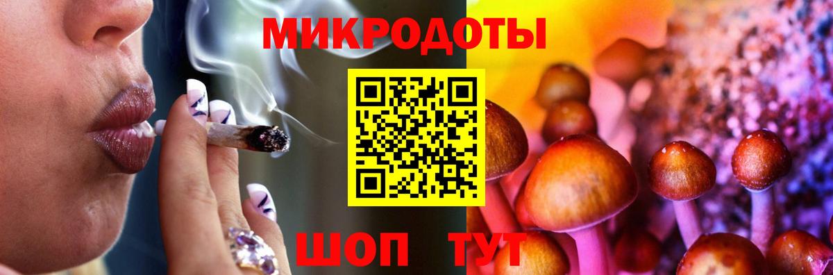 Галлюциногенные грибы Psilocybe  купить   Майкоп  Вход с VPN  Псилоцибиновые грибы GOLDEN TEACHER 